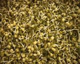 A picture of step 3 of Katori Chaat.