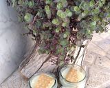 عکس مرحله 7 از دستور پودینگ pudding با بافتی بینظیر