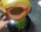A picture of step 4 of Coconut & khus cooler.