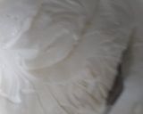 Foto del paso 10 de la receta: Pastel de tres leches