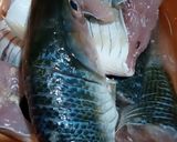 Foto langkah ke 2 dari resep 85. Bandeng Keropok Semarang 🐟.