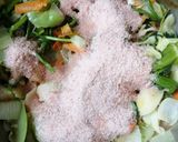 Foto del paso 3 de la receta: Concentrado casero de verduras y pollo