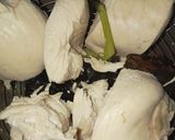 Foto langkah ke 1 dari resep Isian ayam suwir untuk lemper.
