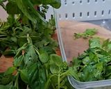 Foto langkah ke 1 dari resep Saus pesto.