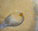 A picture of step 2 of Mango idli.