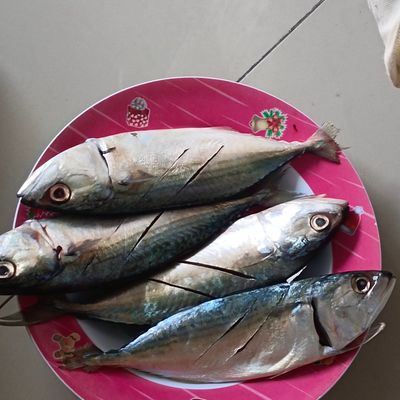 Langkah 1