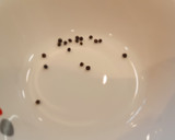 Foto del paso 2 de la receta: Estofado de venado con setas sobre puré de patatas