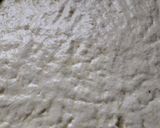 A picture of step 4 of Flower Focaccia.