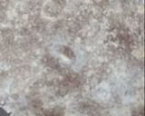 A picture of step 2 of Ragi Roti and Vaal Beans Subji.
