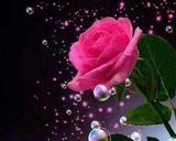 صورة لخطوة 6 من وصفة هريسه