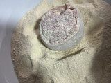 Cebolla rellena