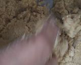 A picture of step 3 of Churma Laddoo.