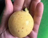 Foto del paso 1 de la receta: Compota de guayaba en microondas