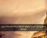 صورة لخطوة 4 من وصفة مكرونه بالباشميل