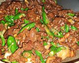 Foto langkah ke 10 dari resep Daging Sapi Cabe Ijo Endez.