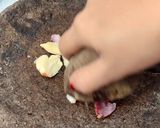 Foto langkah ke 2 dari resep Nasi goreng banjar.