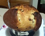 Foto del passaggio 8 della ricetta Panettone veloce con gocce di cioccolato