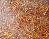 Foto langkah ke 2 dari resep Belalang pedas manis krispi.