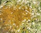 Une image de l'étape 2 de Boulettes de courgettes.