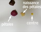 Une image de l'étape 7 de Nerikiri Wagashi: 