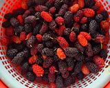 Hình bước làm 1 của món Trà dâu tằm