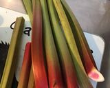 Une image de l'étape 1 de Compote de pommes et rhubarbe du jardin.