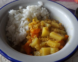 Foto del paso 4 de la receta: Curry sencillo de lentejas rojas con arroz