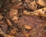 A picture of step 4 of Phalyaan chicken.