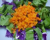 Foto del paso 4 de la receta: Cocinando con verduras - repollo morado, radicheta y zanahoria