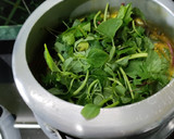 A picture of step 4 of Green Amaranthus Dalma.