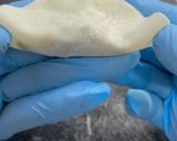 A picture of step 14 of Easy Gyoza Recipe: How to Wrap and Freeze.
