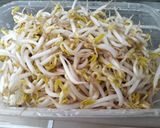 Foto langkah ke 1 dari resep Tumis Kecambah.