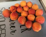 Une image de l'étape 1 de Tarte aux abricots, vanille et manzana.