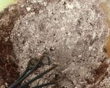 Une image de l'étape 1 de Gâteau délicieux sans œufs, sans beurre, sans lait et sans cuisson au four.