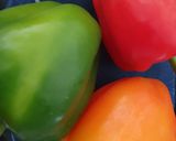 Foto langkah ke 1 dari resep Stuff peppers with Minced Beef and Mashed Potato.