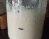 Foto del paso 9 de la receta: Masa Madre