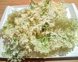 Hagyományos bodzaszörp recept fázis 1 fotója