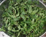 عکس مرحله 1 از دستور شربت نعنا🌿 و موهیتو