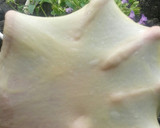 Foto langkah ke 2 dari resep Melon pan / roti melon dorami ala erika.