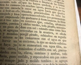 Foto del paso 4 de la receta: Camarones en especia 1888