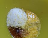Foto del paso 1 de la receta: BUÑUELOS !