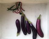 Foto langkah ke 1 dari resep Terong Balado Kebun Rumah.