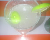 Foto del paso 4 de la receta: Perro salado de mezcal a la Mario, s