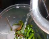 A picture of step 3 of Tangy Mint Leaves Water.