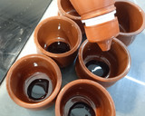 Foto del paso 3 de la receta: Panacotta sencilla