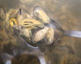 Foto langkah ke 1 dari resep Kerang Hijau Pedas Manis 🌶️.