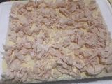 Sándwich de miga de pollo "especial"