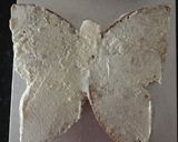 A picture of step 6 of Butterfly Cake.