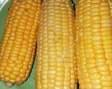 Foto langkah ke 1 dari resep RESEP DADAR JAGUNG JAWA TIMUR (BAKWAN JAGUNG) EMPUK, RENYAH.
