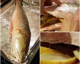 Foto del paso 4 de la receta Corvina al horno con lecho de patatas y cebolla